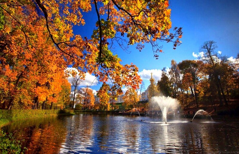 Autumn Trees by Pond — Orange, Serene, Photograph, Fountain