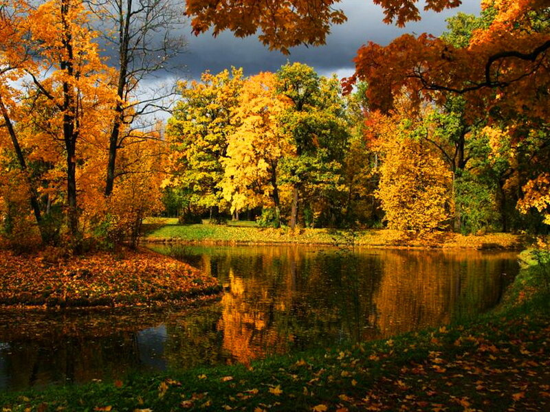 Autumn Trees by Pond — Orange, Serene, Photograph, Leaves, Sky