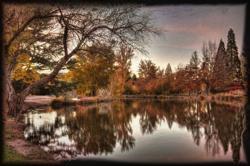 Autumn Trees by Pond — Orange, Serene, Photograph, Sky
