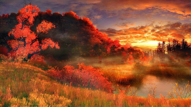 Autumn Trees by Pond — Orange, Serene, Sunset