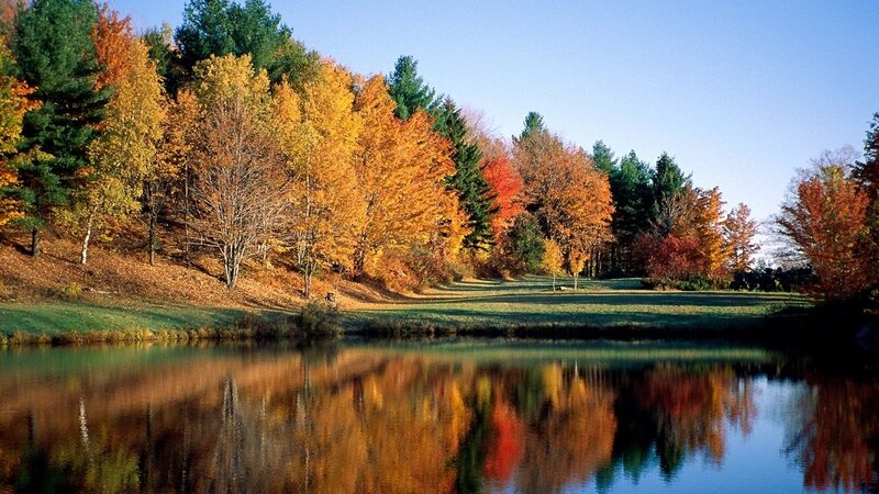 Autumn Trees by Pond — Orange, Serene