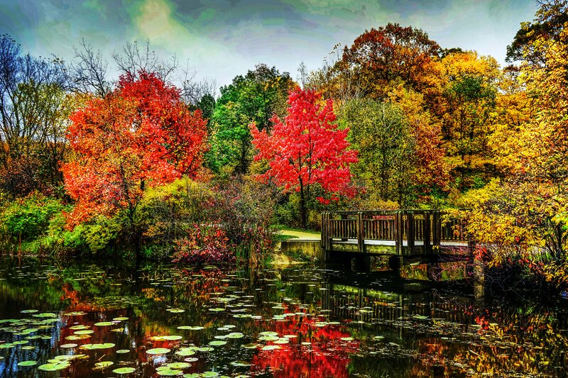 Autumn Trees by Pond — Red, Serene, Photograph, Bridge, Lily Pads