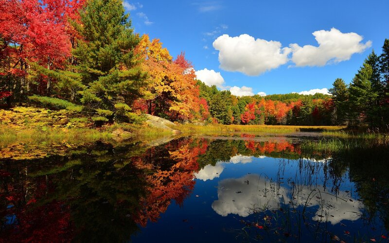 Autumn Trees by Pond — Red, Serene, Photograph, Clouds, Forest