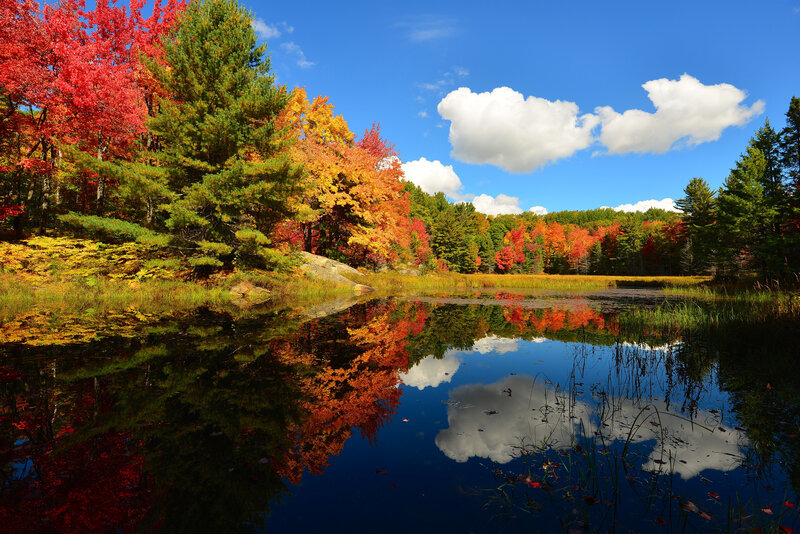 Autumn Trees by Pond — Red, Serene, Photograph, Clouds, Sky