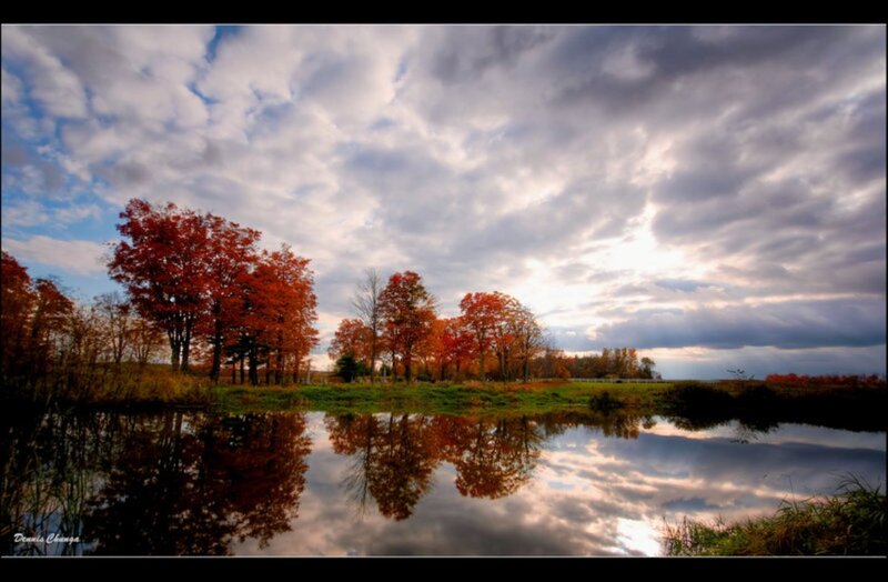 Autumn Trees by Pond — Red, Serene, Photograph, Clouds
