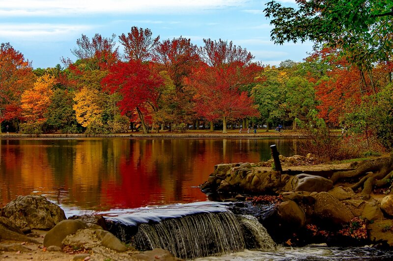 Autumn Trees by Pond — Red, Serene, Photograph, Falling Water