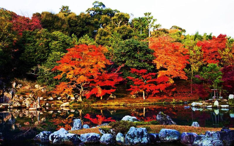 Autumn Trees by Pond — Red, Serene, Photograph, Rocks, Forest
