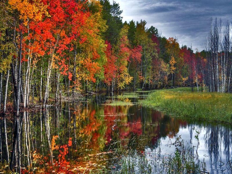 Autumn Trees by Pond — Red, Serene, Photograph, Sky