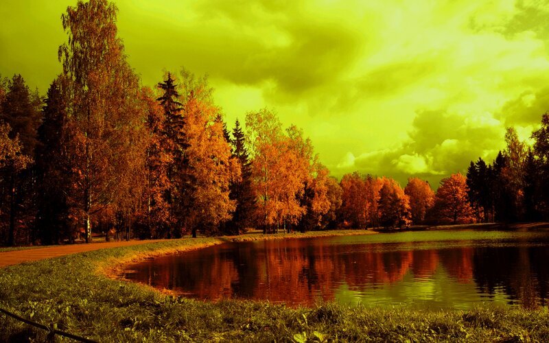 Autumn Trees by Pond — Yellow, Dramatic, Photograph, Sky