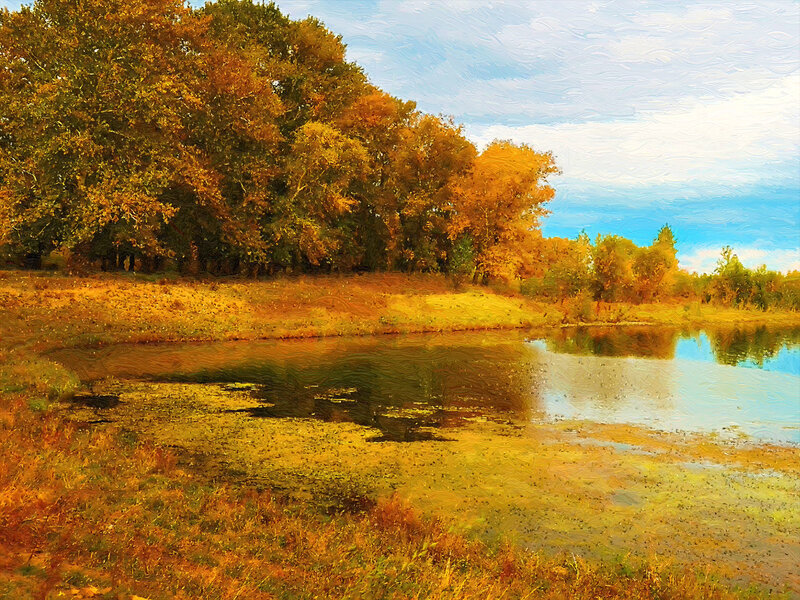 Autumn Trees by Pond — Yellow, Serene, Painting