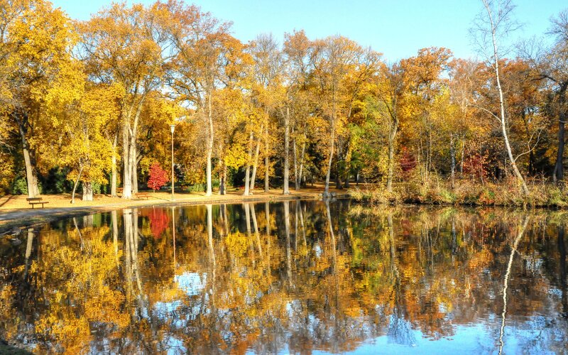 Autumn Trees by Pond — Yellow, Serene, Photograph, Bench