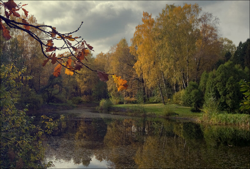 Autumn Trees by Pond — Yellow, Serene, Photograph, Clouds