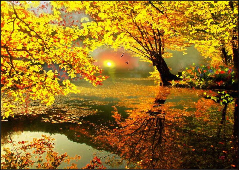 Autumn Trees by Pond — Yellow, Serene, Sunset
