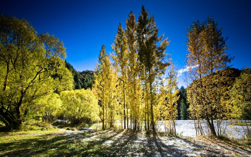 Autumn Trees by River — Blue, Serene, Photograph, Mountain