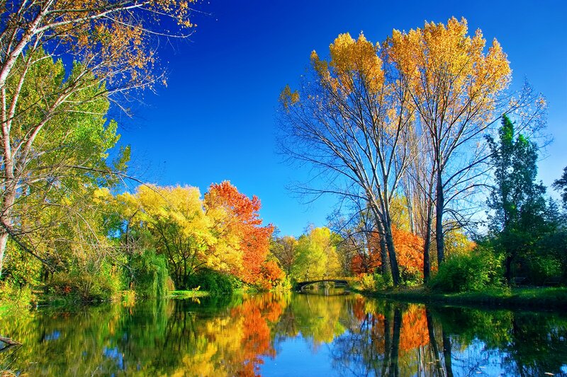 Autumn Trees by River — Blue, Serene, Photograph, Sky, Bridge