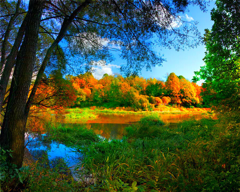 Autumn Trees by River — Blue, Serene, Photograph, Sky, Grass