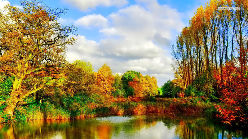 Autumn Trees by River — Blue, Serene, Photograph, Sky, Reflection