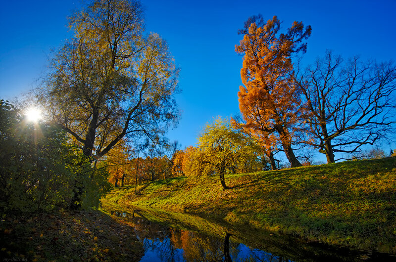 Autumn Trees by River — Blue, Serene, Photograph, Sun
