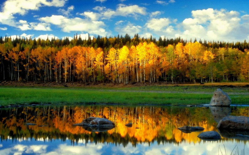 Autumn Trees by River — Blue, Serene, Photograph