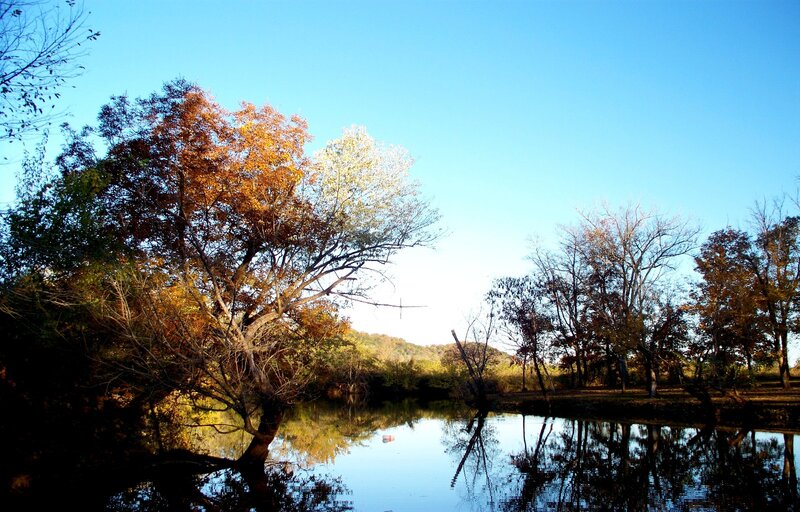 Autumn Trees by River — Blue, Serene