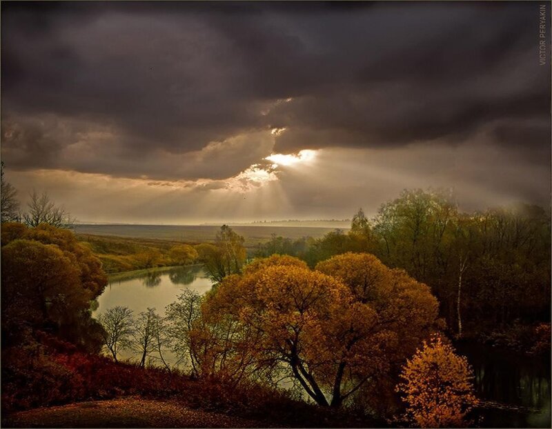 Autumn Trees by River — Brown, Dramatic