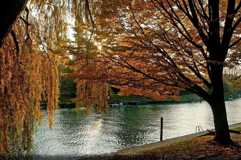 Autumn Trees by River — Gold
