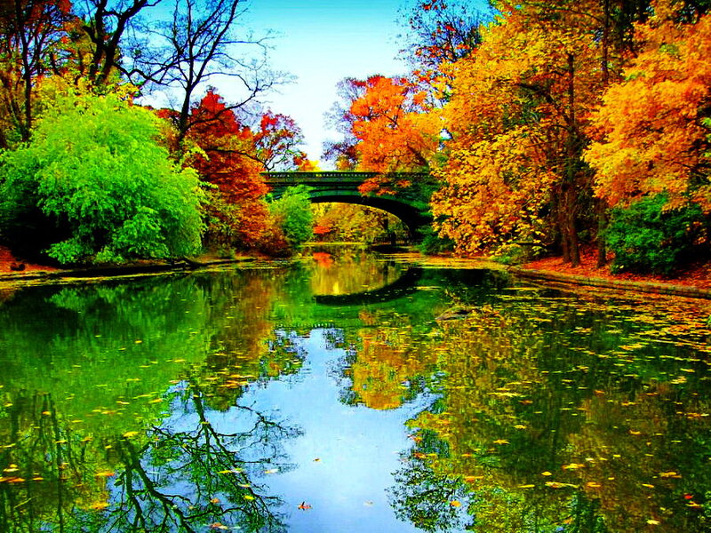 Autumn Trees by River — Green, Serene, Photograph, Bridge