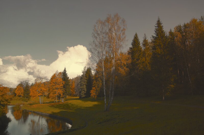 Autumn Trees by River — Green, Serene, Photograph, Clouds