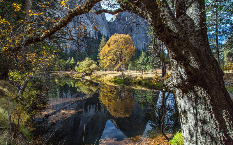 Autumn Trees by River — Green, Serene, Photograph, Mountain, Reflection