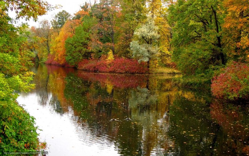 Autumn Trees by River — Green, Serene, Photograph, Reflection