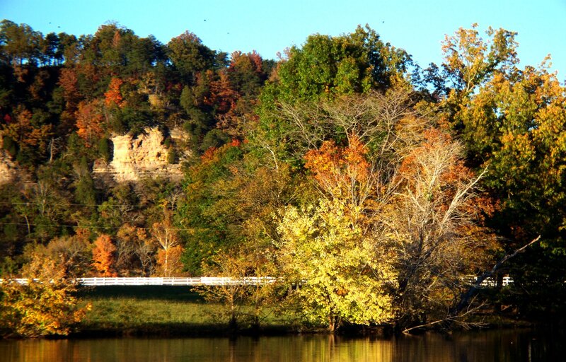 Autumn Trees by River — Green, Serene, Photograph