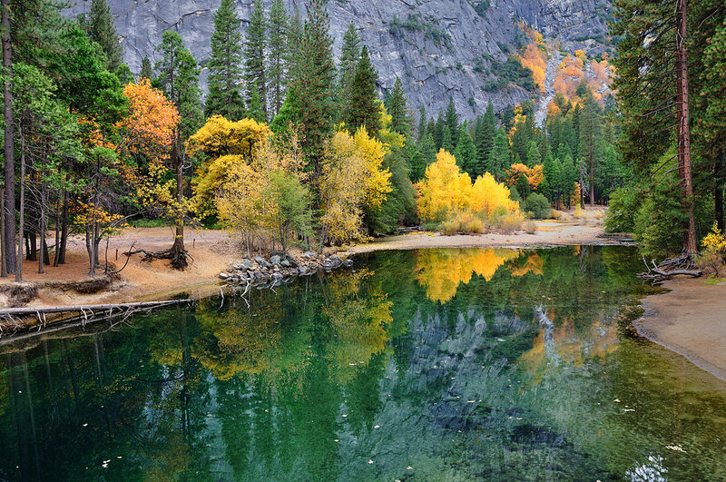 Autumn Trees by River — Green