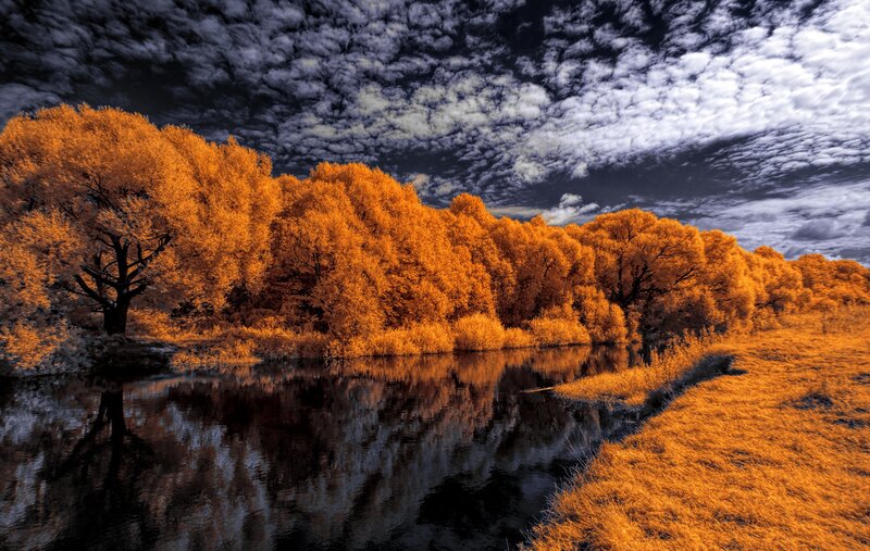 Autumn Trees by River — Orange, Dramatic, Photograph, Clouds