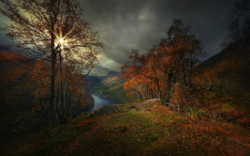Autumn Trees by River — Orange, Dramatic, Photograph