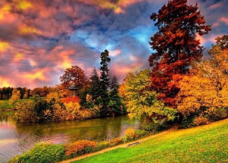 Autumn Trees by River — Orange, Dramatic, Sunset