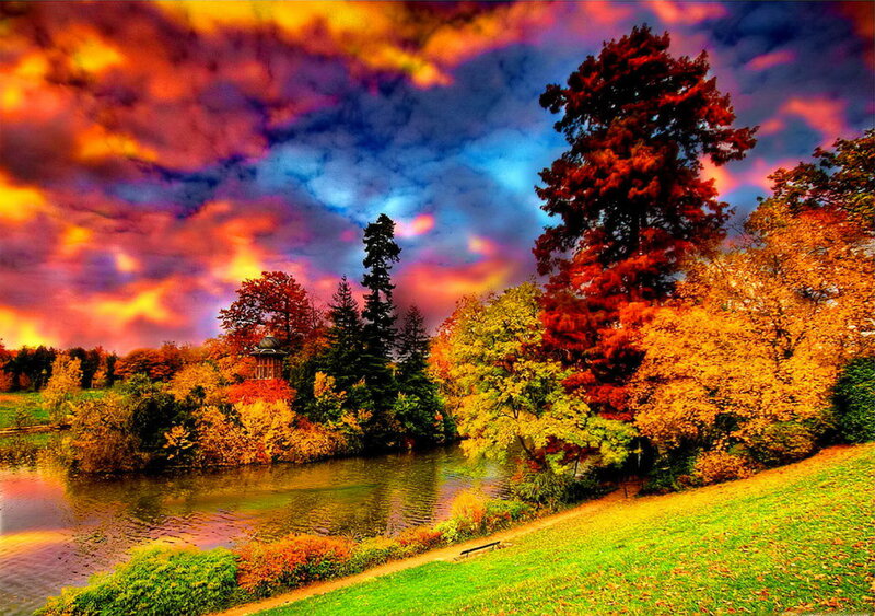 Autumn Trees by River — Orange, Dramatic