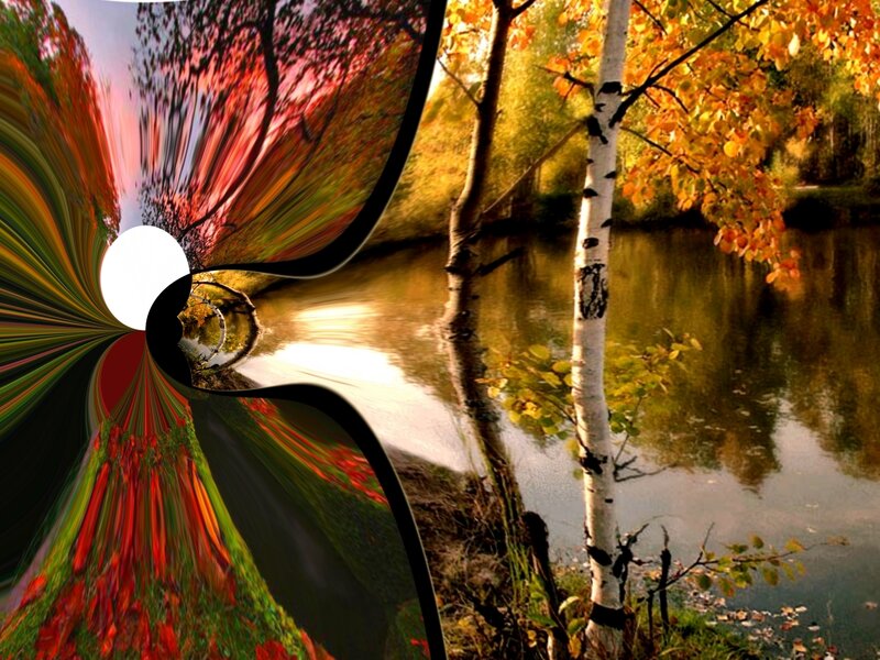 Autumn Trees by River — Orange, Serene, Digital Art