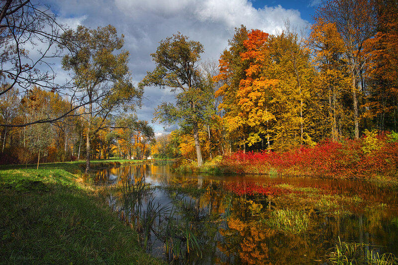 Autumn Trees by River — Orange, Serene, Photograph, Clouds