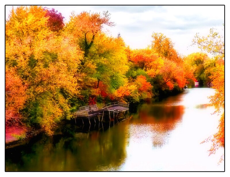 Autumn Trees by River — Orange, Serene, Photograph, Dock