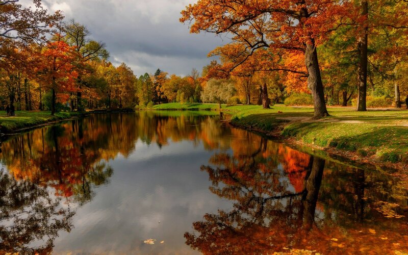 Autumn Trees by River — Orange, Serene, Photograph, Grass, Sky