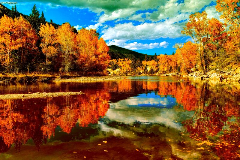 Autumn Trees by River — Orange, Serene, Photograph, Mountain