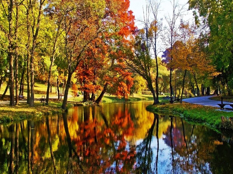 Autumn Trees by River — Orange, Serene, Photograph, Path, Bench