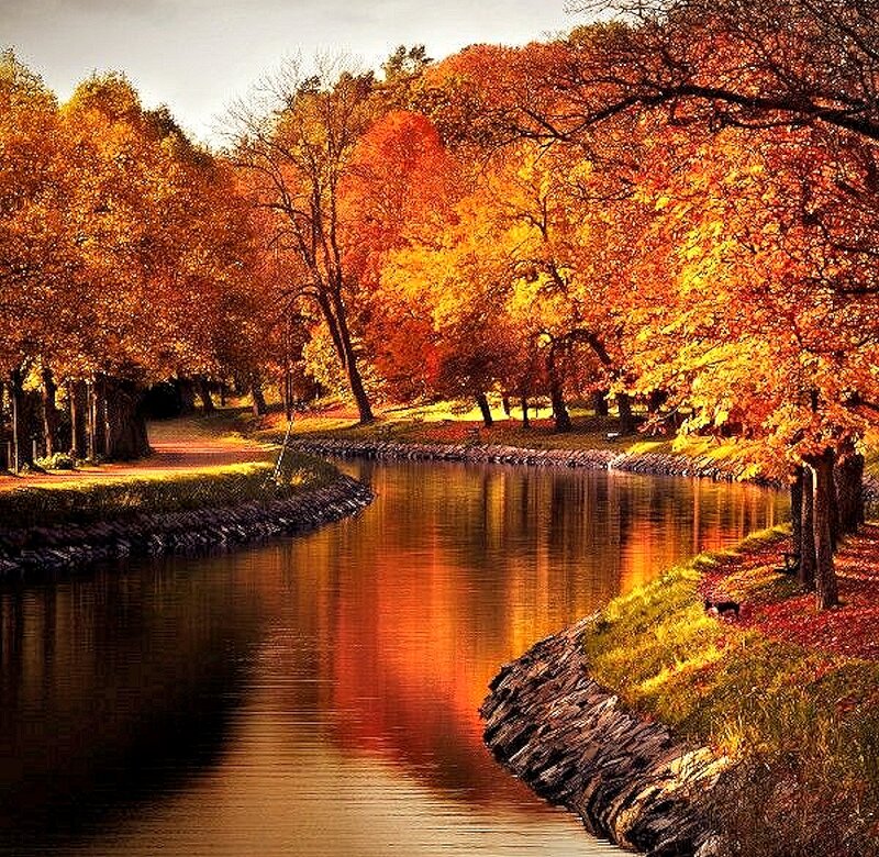 Autumn Trees by River — Orange, Serene, Photograph, Path, Reflection
