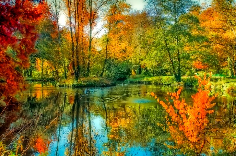 Autumn Trees by River — Orange, Serene, Photograph, Reflection