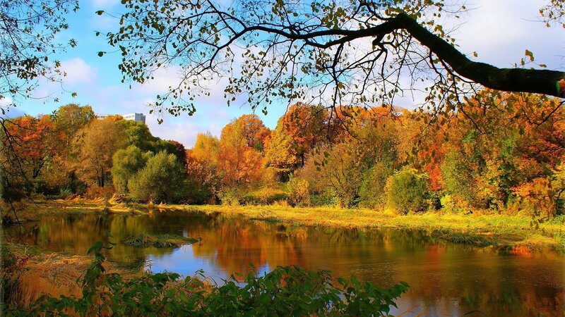 Autumn Trees by River — Orange, Serene, Photograph, Sky, Branch, Green, Blue