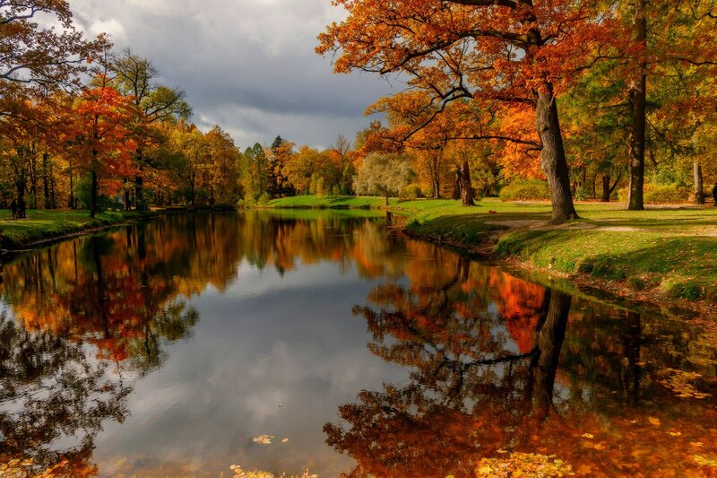 Autumn Trees by River — Orange, Serene, Photograph, Sky, Grass