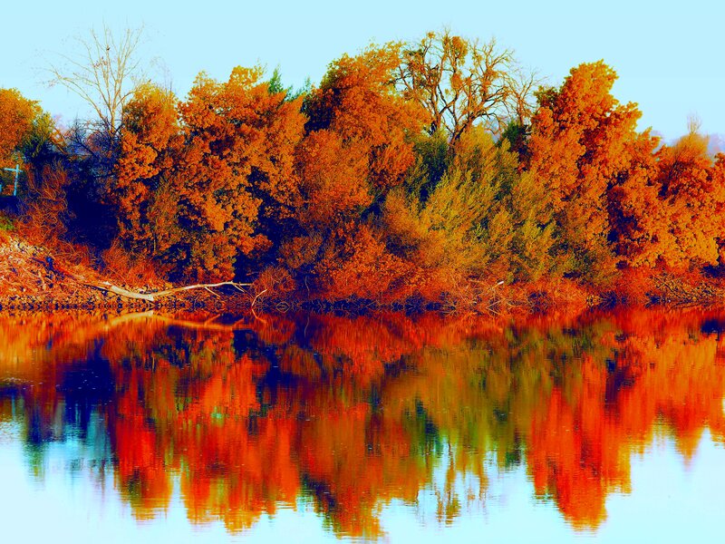 Autumn Trees by River — Orange, Serene, Photograph, Sky