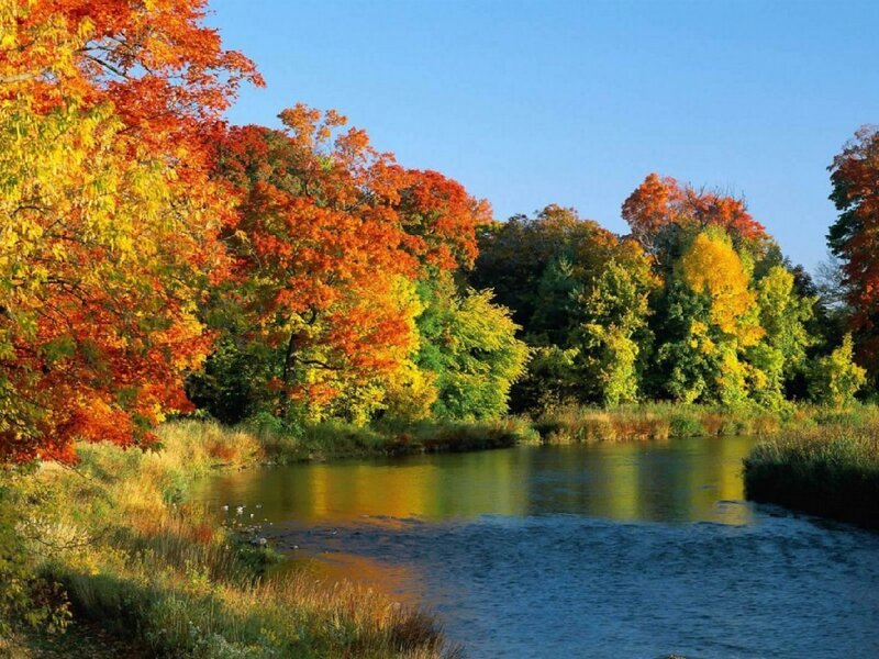 Autumn Trees by River — Orange, Serene, Photograph, Sky, Yellow