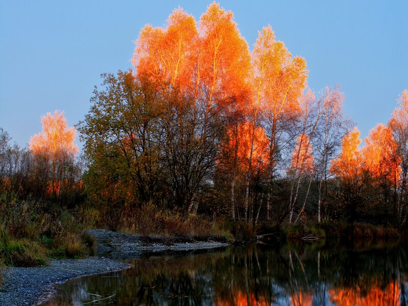 Autumn Trees by River — Orange, Serene, Sunset, Photograph, Sky
