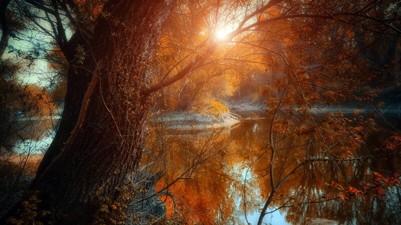 Autumn Trees by River — Orange, Serene, Sunset, Photograph